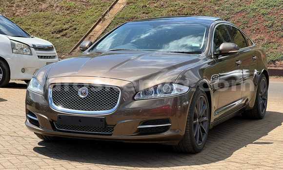 Buy Used Jaguar F-Type Other Car in Busia in West Kenya Buy Used Jaguar F-Type Other Car in Busia in West Kenya