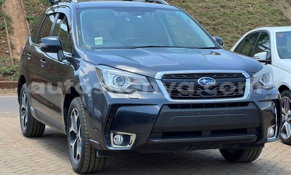 Oofamaa Subaru Forester Black Makiinaa iti Bute keessatti Northeast Kenya keessatti