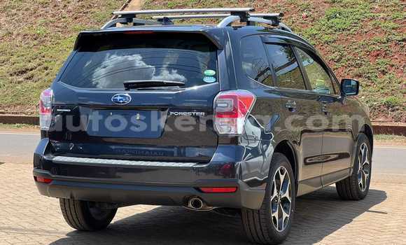 Buy Used Subaru Forester Black Car in Bute in Northeast Kenya Buy Used Subaru Forester Black Car in Bute in Northeast Kenya