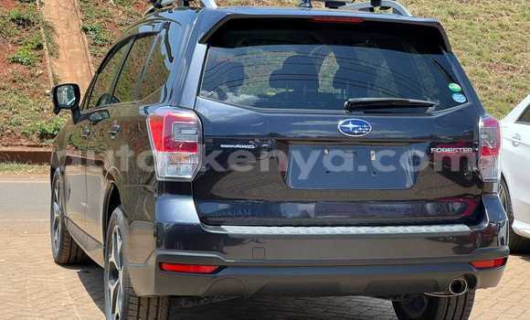Buy Used Subaru Forester Black Car in Bute in Northeast Kenya Buy Used Subaru Forester Black Car in Bute in Northeast Kenya