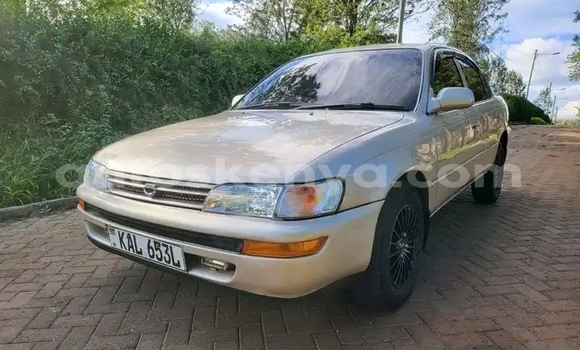 Buy Used Toyota Corolla Other Car in Kiambu in Central Kenya