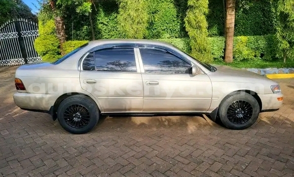 Buy Used Toyota Corolla Other Car in Kiambu in Central Kenya Buy Used Toyota Corolla Other Car in Kiambu in Central Kenya