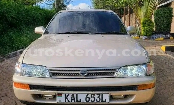 Buy Used Toyota Corolla Other Car in Kiambu in Central Kenya Buy Used Toyota Corolla Other Car in Kiambu in Central Kenya
