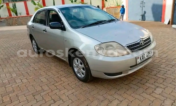 Buy Used Toyota Corolla Other Car in Kiambu in Central Kenya Buy Used Toyota Corolla Other Car in Kiambu in Central Kenya
