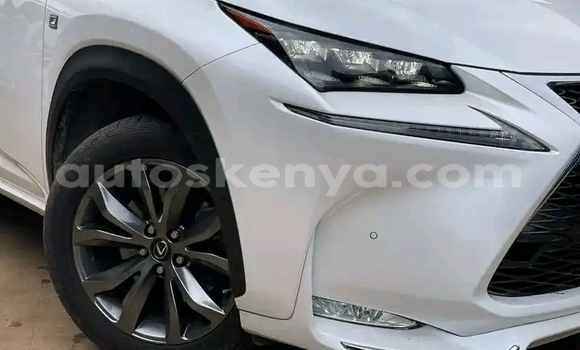Buy Used Lexus NX White Car in Nairobi in Nairobi Buy Used Lexus NX White Car in Nairobi in Nairobi