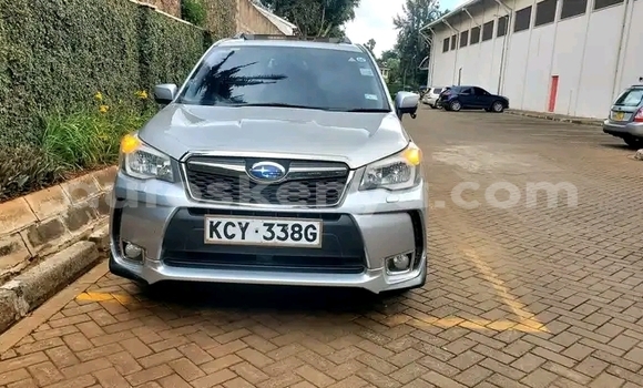 Oofamaa Subaru Forester Silver Makiinaa iti Nairobi keessatti Nairobi keessatti