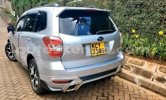Oofamaa Subaru Forester Silver Makiinaa iti Nairobi keessatti Nairobi keessatti Oofamaa Subaru Forester Silver Makiinaa iti Nairobi keessatti Nairobi keessatti