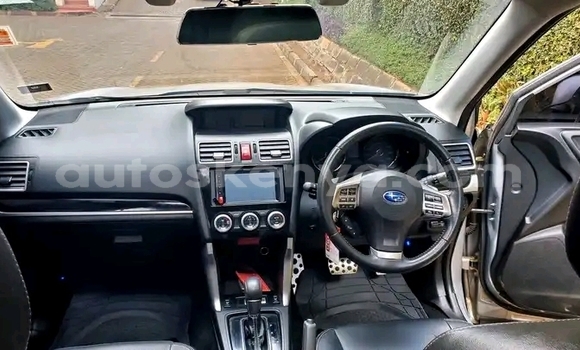 Oofamaa Subaru Forester Silver Makiinaa iti Nairobi keessatti Nairobi keessatti Oofamaa Subaru Forester Silver Makiinaa iti Nairobi keessatti Nairobi keessatti