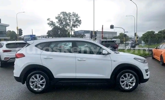 Buy Used Hyundai Tucson White Car in Nairobi in Nairobi Buy Used Hyundai Tucson White Car in Nairobi in Nairobi