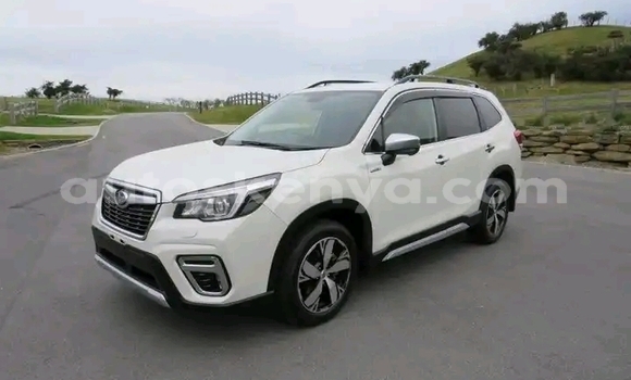Buy Used Subaru Forester White Car in Nairobi in Nairobi Buy Used Subaru Forester White Car in Nairobi in Nairobi