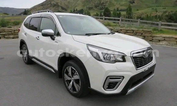 Buy Used Subaru Forester White Car in Nairobi in Nairobi Buy Used Subaru Forester White Car in Nairobi in Nairobi