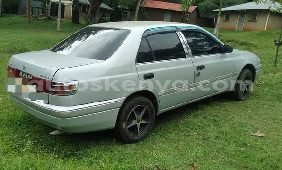 Oofamaa Toyota Premio Other Makiinaa iti Bura keessatti Northeast Kenya keessatti Oofamaa Toyota Premio Other Makiinaa iti Bura keessatti Northeast Kenya keessatti