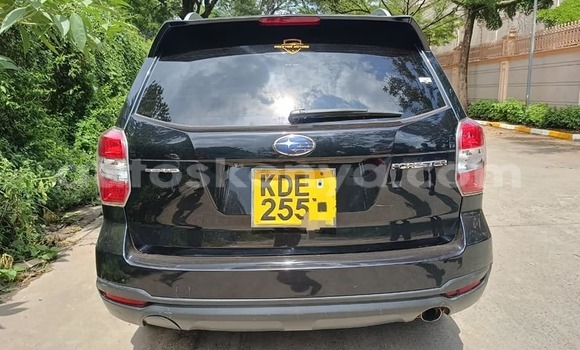 Oofamaa Subaru Forester Black Makiinaa iti Nairobi keessatti Nairobi keessatti Oofamaa Subaru Forester Black Makiinaa iti Nairobi keessatti Nairobi keessatti