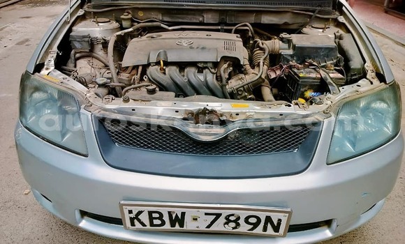 Oofamaa Toyota Fielder Other Makiinaa iti Bute keessatti Northeast Kenya keessatti Oofamaa Toyota Fielder Other Makiinaa iti Bute keessatti Northeast Kenya keessatti