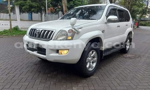 Oofamaa Toyota Prado White Makiinaa iti Busia keessatti West Kenya keessatti Oofamaa Toyota Prado White Makiinaa iti Busia keessatti West Kenya keessatti
