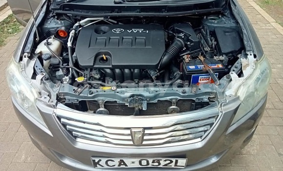 Oofamaa Toyota Premio Other Makiinaa iti Bura keessatti Northeast Kenya keessatti Oofamaa Toyota Premio Other Makiinaa iti Bura keessatti Northeast Kenya keessatti