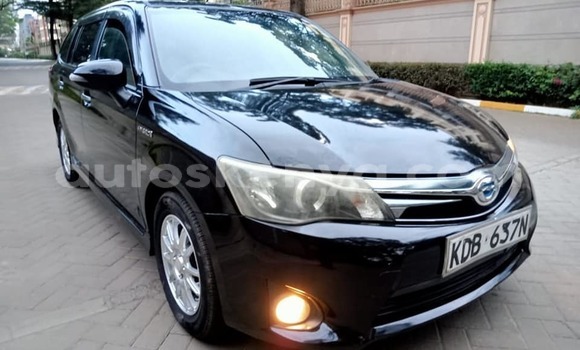 Oofamaa Toyota Fielder Black Makiinaa iti Bura keessatti Northeast Kenya keessatti