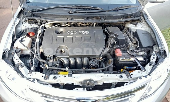 Oofamaa Toyota Allion Other Makiinaa iti Bura keessatti Northeast Kenya keessatti Oofamaa Toyota Allion Other Makiinaa iti Bura keessatti Northeast Kenya keessatti