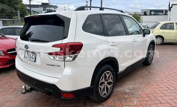 Oofamaa Subaru Forester White Makiinaa iti Nairobi keessatti Nairobi keessatti Oofamaa Subaru Forester White Makiinaa iti Nairobi keessatti Nairobi keessatti