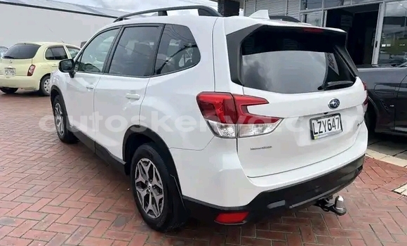 Buy Used Subaru Forester White Car in Nairobi in Nairobi Buy Used Subaru Forester White Car in Nairobi in Nairobi
