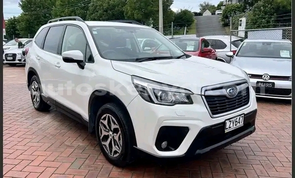 Buy Used Subaru Forester White Car in Nairobi in Nairobi Buy Used Subaru Forester White Car in Nairobi in Nairobi