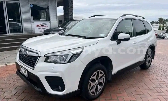 Buy Used Subaru Forester White Car in Nairobi in Nairobi Buy Used Subaru Forester White Car in Nairobi in Nairobi