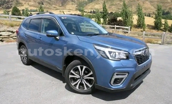 Oofamaa Subaru Forester Blue Makiinaa iti Nairobi keessatti Nairobi keessatti Oofamaa Subaru Forester Blue Makiinaa iti Nairobi keessatti Nairobi keessatti