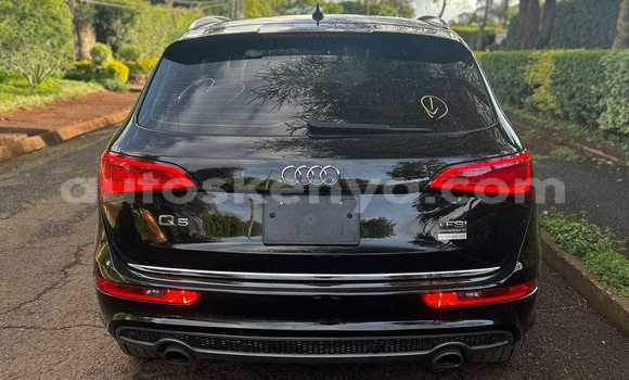 Buy Used Audi Q5 Black Car in Bute in Northeast Kenya Buy Used Audi Q5 Black Car in Bute in Northeast Kenya