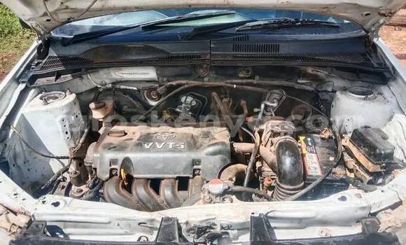 Buy Used Toyota Probox White Car in Busia in West Kenya Buy Used Toyota Probox White Car in Busia in West Kenya