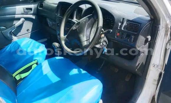 Buy Used Toyota Probox White Car in Busia in West Kenya Buy Used Toyota Probox White Car in Busia in West Kenya
