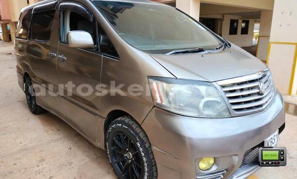 Nunua Ilio tumika Toyota Alphard Nyingine Gari ndani ya Bura nchini Kaskazini Mashariki mwa Kenya