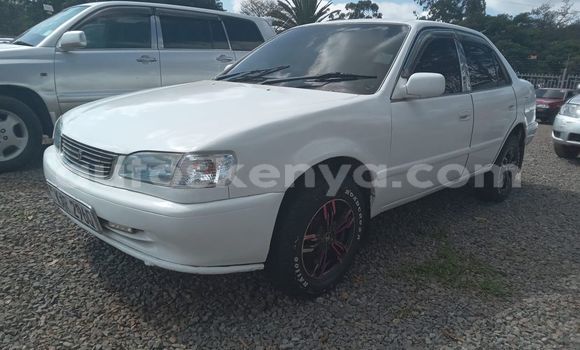 Oofamaa Toyota 2000GT Other Makiinaa iti Nairobi keessatti Nairobi keessatti Oofamaa Toyota 2000GT Other Makiinaa iti Nairobi keessatti Nairobi keessatti