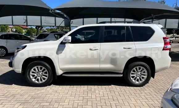 Buy Used Toyota Land Cruiser Prado White Car in Nairobi in Nairobi Buy Used Toyota Land Cruiser Prado White Car in Nairobi in Nairobi