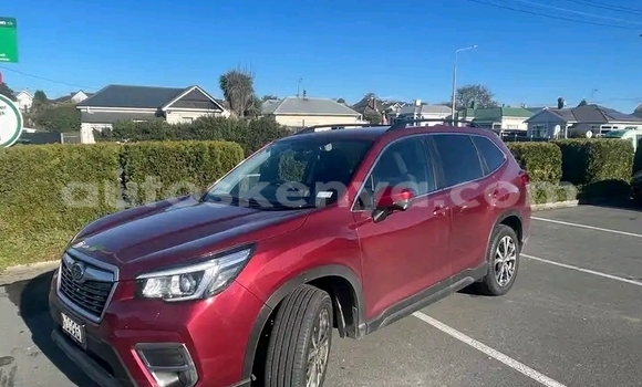 Buy Used Subaru Forester Red Car in Nairobi in Nairobi Buy Used Subaru Forester Red Car in Nairobi in Nairobi