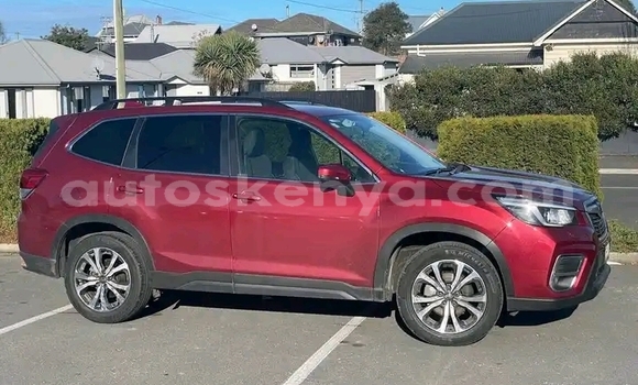 Oofamaa Subaru Forester Red Makiinaa iti Nairobi keessatti Nairobi keessatti Oofamaa Subaru Forester Red Makiinaa iti Nairobi keessatti Nairobi keessatti