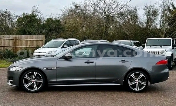 Buy Used Jaguar XFR Other Car in Nairobi in Nairobi