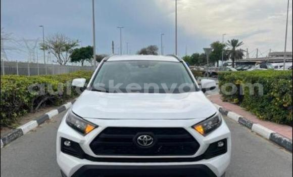 Imported Toyota RAV4 White Makiinaa iti Kakamega keessatti West Kenya keessatti