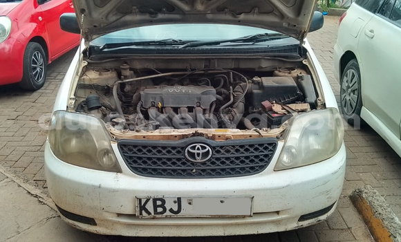 Buy Used Toyota Corolla White Car in Nairobi in Nairobi Buy Used Toyota Corolla White Car in Nairobi in Nairobi