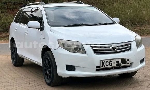 Oofamaa Toyota Fielder White Makiinaa iti Bura keessatti Northeast Kenya keessatti