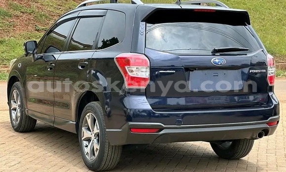 Nunua Ilio tumika Subaru Forester Nyeusi Gari ndani ya Busia nchini West Kenya Nunua Ilio tumika Subaru Forester Nyeusi Gari ndani ya Busia nchini West Kenya