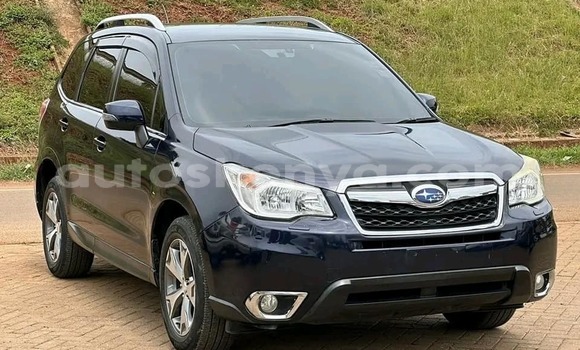 Nunua Ilio tumika Subaru Forester Nyeusi Gari ndani ya Busia nchini West Kenya Nunua Ilio tumika Subaru Forester Nyeusi Gari ndani ya Busia nchini West Kenya