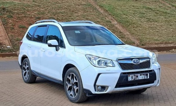 Oofamaa Subaru Forester White Makiinaa iti Busia keessatti West Kenya keessatti