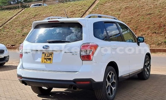 Nunua Ilio tumika Subaru Forester Nyeupe Gari ndani ya Busia nchini West Kenya Nunua Ilio tumika Subaru Forester Nyeupe Gari ndani ya Busia nchini West Kenya