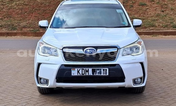 Nunua Ilio tumika Subaru Forester Nyeupe Gari ndani ya Busia nchini West Kenya Nunua Ilio tumika Subaru Forester Nyeupe Gari ndani ya Busia nchini West Kenya