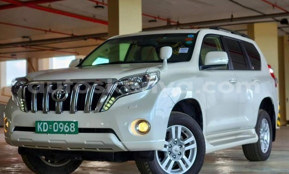 Oofamaa Toyota Land Cruiser White Makiinaa iti Bute keessatti Northeast Kenya keessatti