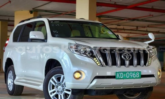 Nunua Ilio tumika Toyota Land Cruiser Nyeupe Gari ndani ya Bute nchini Kaskazini Mashariki mwa Kenya Nunua Ilio tumika Toyota Land Cruiser Nyeupe Gari ndani ya Bute nchini Kaskazini Mashariki mwa Kenya