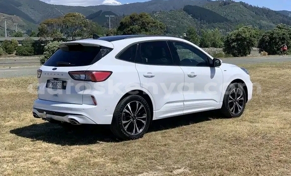 Buy Used Ford Escape White Car in Nairobi in Nairobi