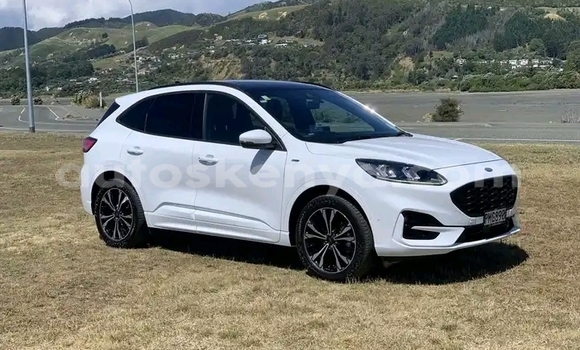 Buy Used Ford Escape White Car in Nairobi in Nairobi Buy Used Ford Escape White Car in Nairobi in Nairobi