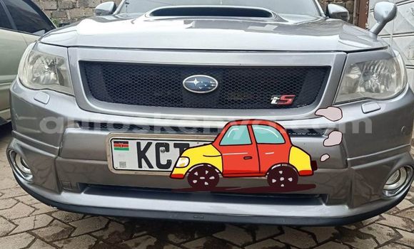 Buy Used Subaru Forester Other Car in Nairobi in Nairobi Buy Used Subaru Forester Other Car in Nairobi in Nairobi