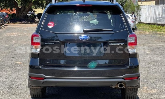 Buy Used Subaru Forester Other Car in Nairobi in Nairobi Buy Used Subaru Forester Other Car in Nairobi in Nairobi